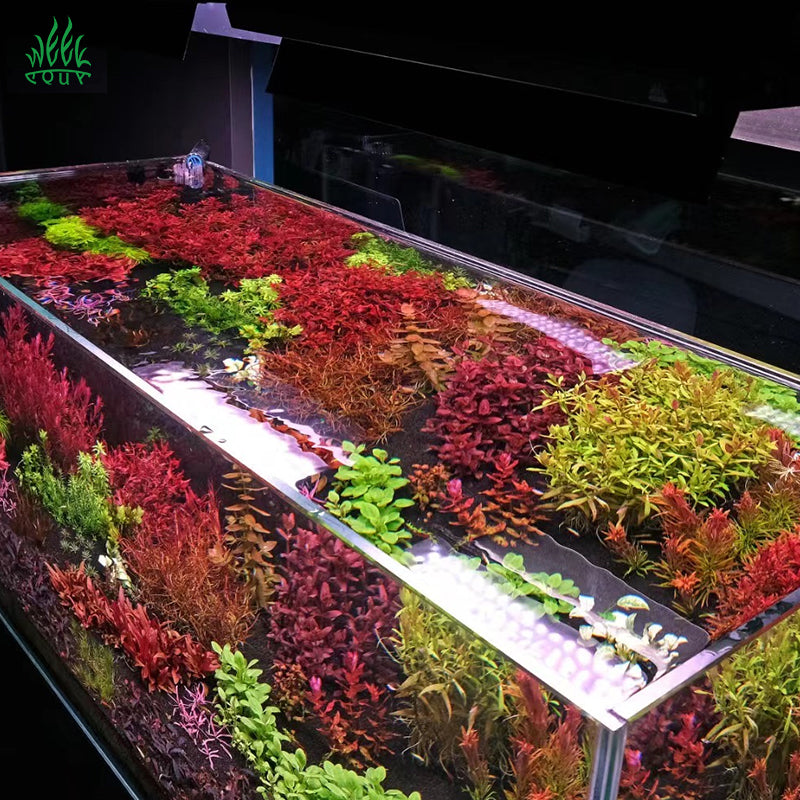 Week Aqua A430Pro LED Aquarium Light RGB UV Full Spectrum 120W Hanging Plant Grow Lamp for High Demand Aquascaping