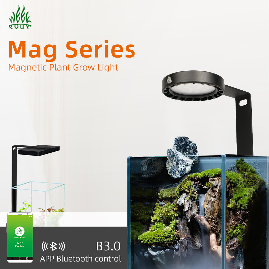 Week Aqua USB Magnetic Plant Grow Light Full spectrum LED Ecology Microlandscape light Nano aquarium light