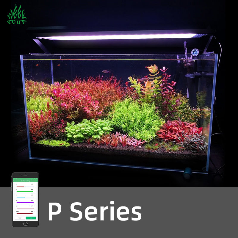 Week Aqua P Series Ver.3 RGB+UV Smart Bluetooth LED Aquarium Light