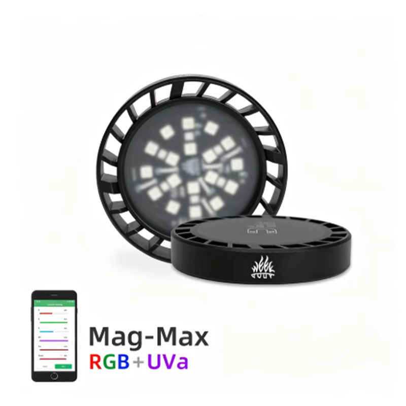 Week Aqua USB Magnetic Plant Grow Light Full spectrum LED Ecology Microlandscape light Nano aquarium light